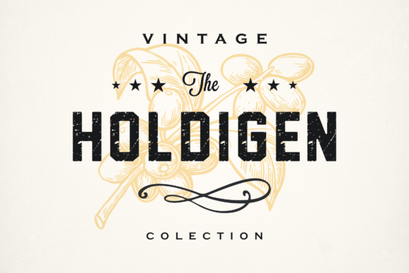 Holdigen: The Bold Display Font for High-Impact Web Design